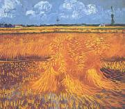 Wheatfields With Cypress at Arles Vincent Van Gogh